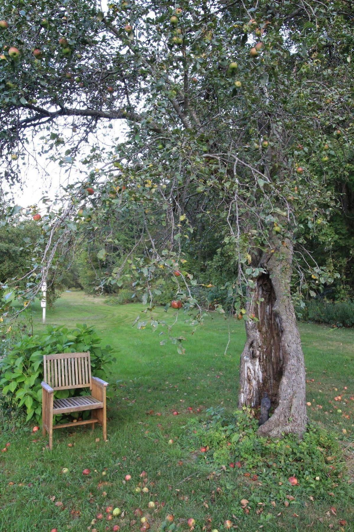 Green River Inn Sandgate Экстерьер фото